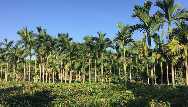 海南旅控休閑旅游有限公司